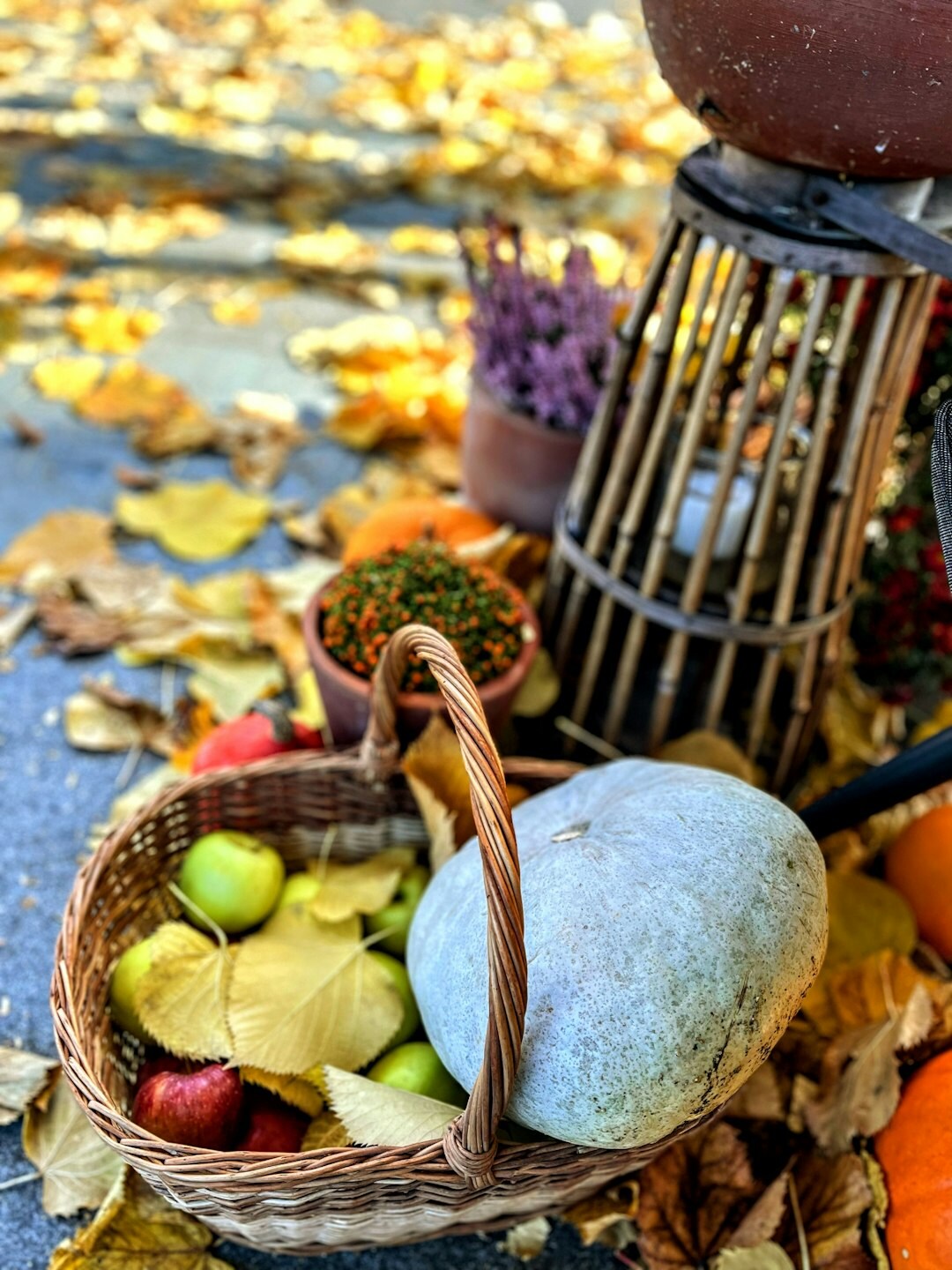 Autumn harvest of pumpkins, apples and mushrooms in a basket